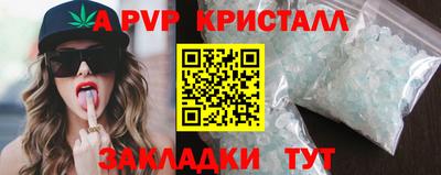 стафф Пенза