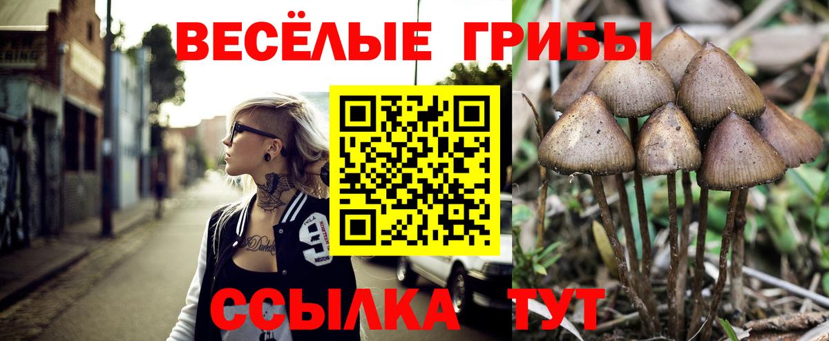 Галлюциногенные грибы Psilocybine cubensis  Вход с VPN  Ногинск 