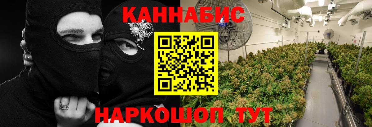 Шишки марихуана LSD WEED  Шишки марихуана марихуана  Вход с VPN  Шишки марихуана VHQ  Ногинск  Бошки Шишки план 
